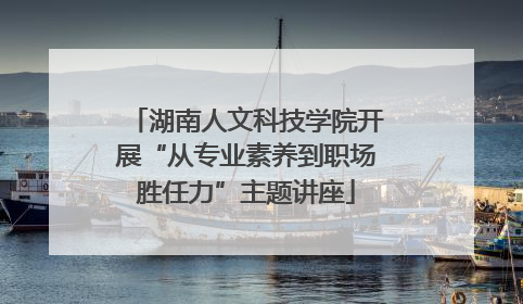 湖南人文科技学院开展“从专业素养到职场胜任力”主题讲座